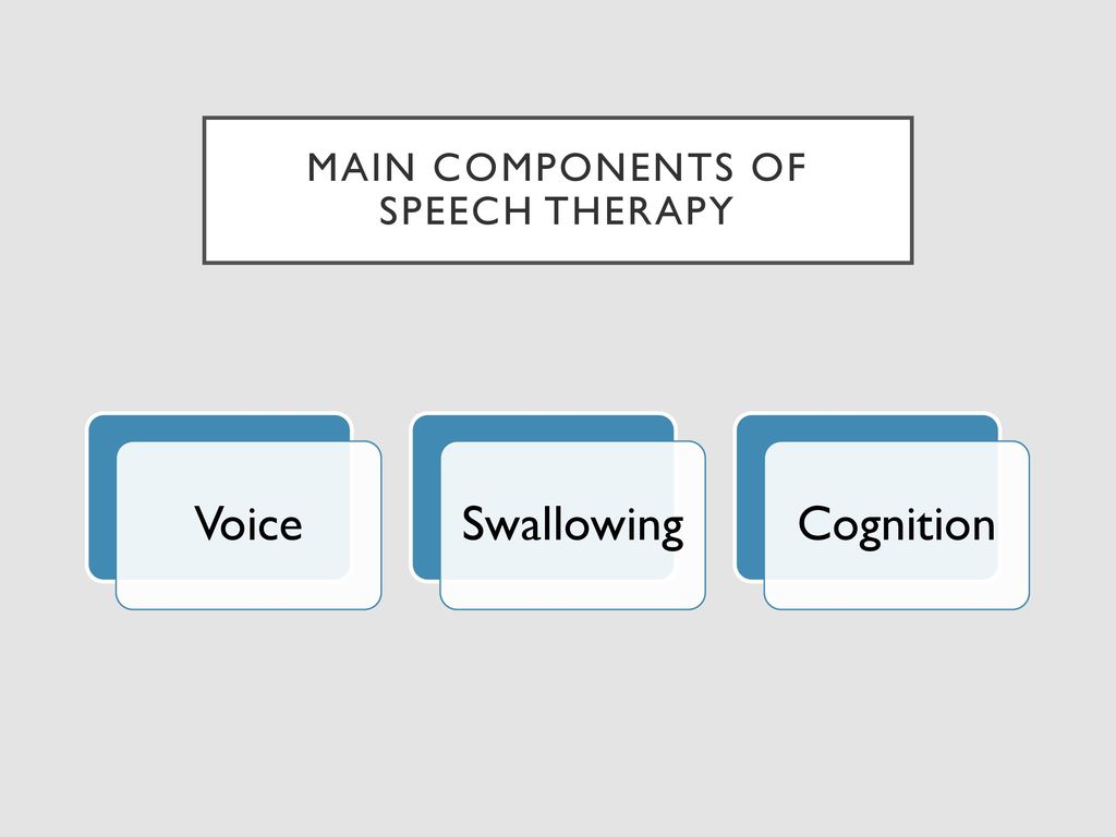 Key Components of Speech Therapy